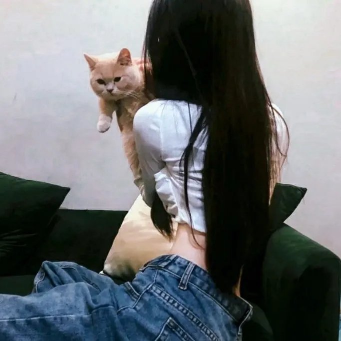 一个黑暗的故事